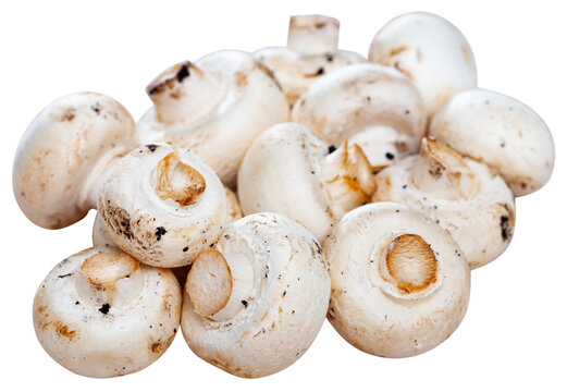 Image of raw white champignons. Isolated over white background
