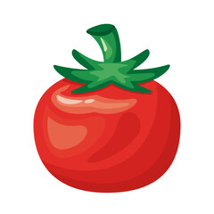 tomato healthy vegetable detailed style icon
