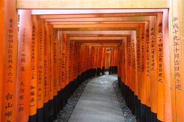 Fushimi Inari taisha (伏見稲荷大社) with sunlight, the head shrine of the kami Inari, located in Fushimiku (Fushimi-ku), Kyoto, Japanese shrine in japan