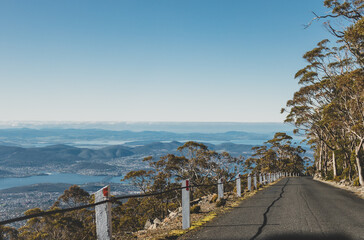 beautiful road surrounded by tall eucalyptus gum tree while driving up Mount Wellington Kunanyi in...