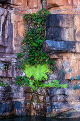 Kimberly's sandstone landscapes, King George River, moss