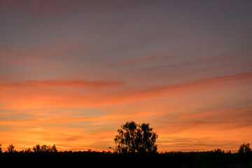 Fototapeta na wymiar colorful sunset skies and black tree silhouettes, summer
