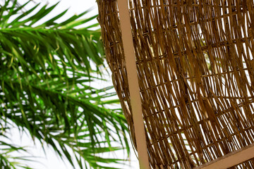 Wicker beach umbrella on palm tree background