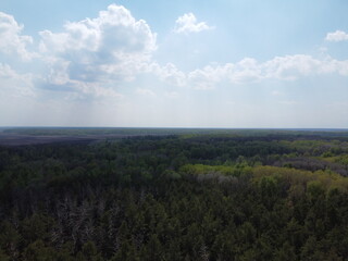 Blue cloudy skies over a dense forest, aerial view. Beautiful cloudy sky over the forest.