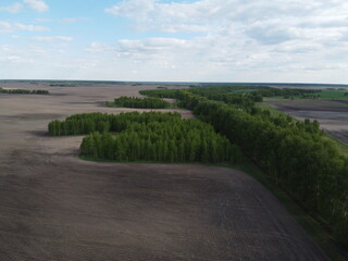 Green grove surrounded by plowed fields, aerial view. Beautiful landscape.