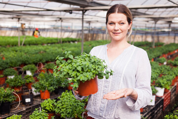 Portrait of smiling female gardener holding spearmint seedlings in pot at greenhouse ..