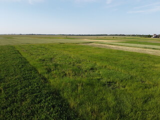 Farmland top view. Green fields on a sunny day.