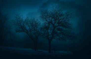 Fototapeta na wymiar Two naked trees in the blue scary forest at night. Halloween image. Background for halloween stories