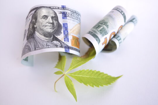 cannabis drug business in america. dollars and marijuana