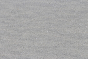 Coastal Dry Sand on the Beach. Silver Beach Sydney