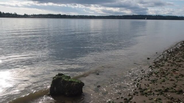 Pritchard Park is a 50-acre (20 ha) former Superfund environmental cleanup site on the shore of Bainbridge Island's Eagle Harbor in Washington state.