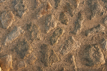 a sand-bar. road of stone