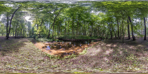full seamless spherical hdri panorama 360 degrees angle view among the bushes and trees of forest...