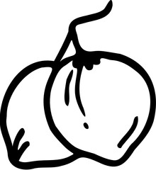 Coconuts Line Vector Illustration