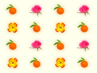 Decorative pattern with yellow red flower of wallflower, pink roses and orange tangerines on light yellow background