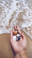 Mano con caracoles en la playa, se ve agua y arena de fondo