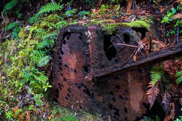 Rusted machinery in the forest