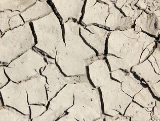Close-up of dried up soil.