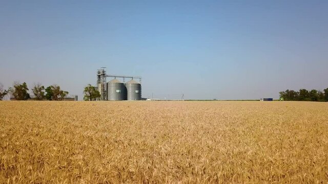 Aerial of grain elevator in front of wheat field. Quadcopter drone camera flying towards flour or oil mill plant. Silos near farmland. Agriculture theme, a harvesting season. Dolly in.