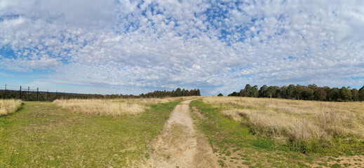 Beautiful panoramic view of a park with wild grass, tall trees in the background and a deep blue puffy sky, Rouse Hill Regional Park, Rouse Hill, New South Wales, Australia