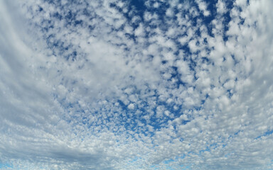 Beautiful landscape view of a deep blue white puffy sky, Rouse Hill Regional Park, Rouse Hill, New South Wales, Australia