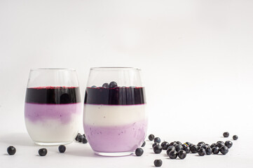 A layered dessert of cottage cheese, yoghurt and blueberries on a white background.