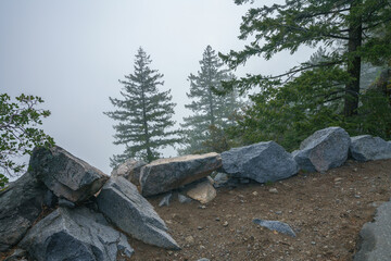 hiking the four mile trail in yosemite national park in california, usa