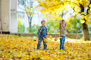 Boy playing with yellow autumn leaves in a park