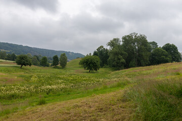 Fototapeta na wymiar Felder rund um Sebnitz in der Sächsischen Schweiz