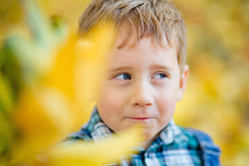 Portrait of a boy in the open air against a background of yellow leaves. Cute boy walking in the autumn Park.The child is holding yellow leaves in front of him, they are in disfocus.