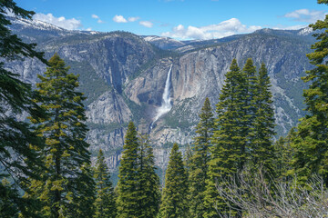 hiking the four mile trail in the yosemite national park in california, usa