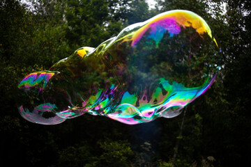 Big soap bubble. Bubble in the forest.