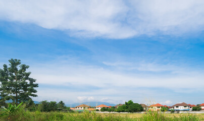 Obraz premium White cloud, trees and blue sky background with natural green grass