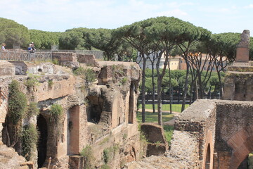 The Roman Forums, a walk in the ancient Roman Forum makes us travel through time.