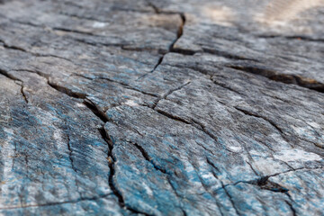 Close Up Old Weathered Cracked Wood Texture