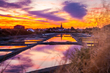 Panoramic view of the salt marshland at sunrise, Olonne area, Vendee, France
