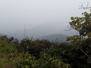 #misty morning in the mountains##