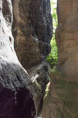 Felsspalte im Elbsandsteingebrige