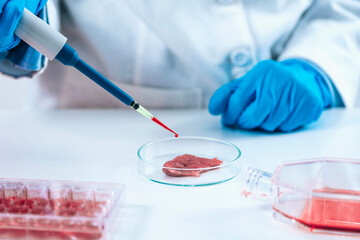 Scientist Dropping Growth Serum with Micropipette on Meat Sample in a Petri Dish - obrazy, fototapety, plakaty