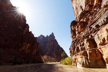 Wadi Disah, also known as Wadi Qaraqir, is a 15 kilometer long canyon running through the Jebel Qaraqir, a sandstone massif lying about 80 kilometers south of the city of Tabuk in Saudi Arabia - 366685985