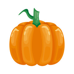 pumpkin healthy vegetable detailed style icon