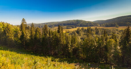 Summer rural landscape with hills, forest, sky