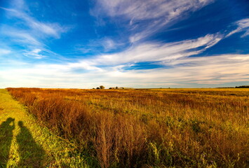 Obraz premium Field and farm on blue sky background with white clouds in summer