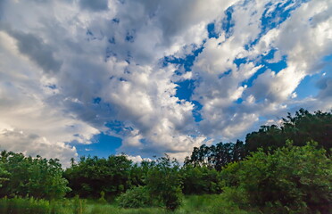 Fototapeta premium Clouds in the blue sky and tree tops