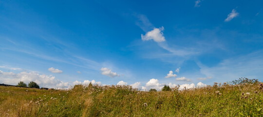 White clouds in blue sky over grass field in summer