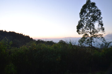 Fototapeta premium beautiful sunrise landscape in the mountain arjuna