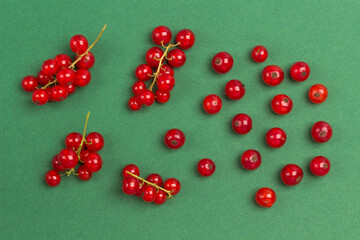 Red currants on green background