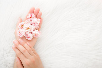 Obraz na płótnie Canvas Beautiful small pink roses in young woman palm on white fluffy fur blanket background. Soft color. Closeup. Point of view shot. Empty place for text. Top down view.