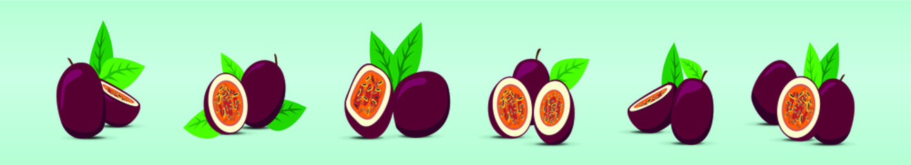 set of passion fruit vector illustration