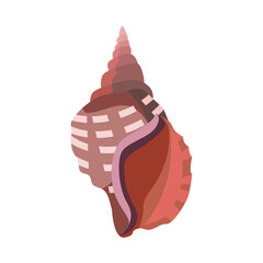 Brown sea shell illustration. Mollusc, ocean, decoration. Nature concept. illustration can be used for topics like ocean, sea, design, decoration